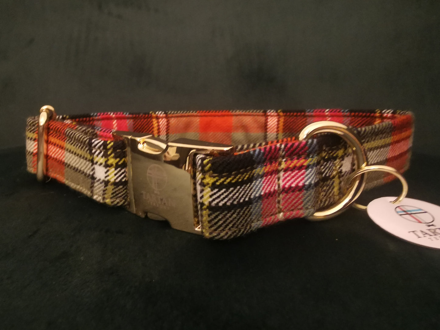 Tartan Dog Collar - Bruce of Kinnaird Tartan