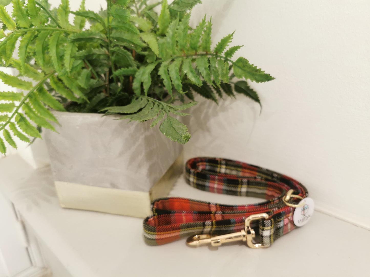 Tartan Terrors - Bruce of Kinnaird Tartan Dog Lead