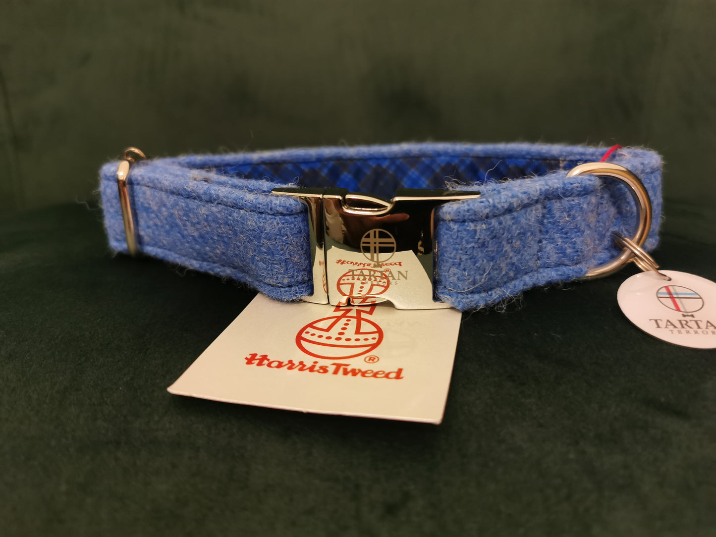 Tartan Terrors - Harris Tweed Sky Blue Collar