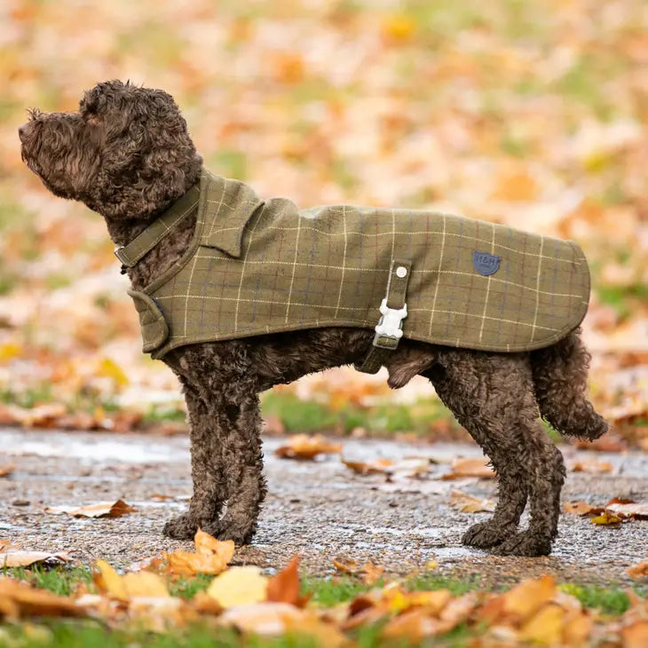 Hugo & Hudson - Dark Green Checked Tweed Dog Coat Jacket