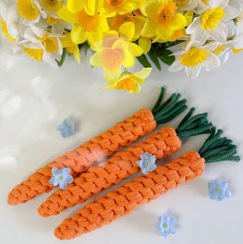 Muttsie - Easter Carrot Toy